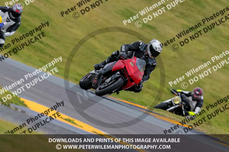 PJ Motorsport 2019;anglesey no limits trackday;anglesey photographs;anglesey trackday photographs;enduro digital images;event digital images;eventdigitalimages;no limits trackdays;peter wileman photography;racing digital images;trac mon;trackday digital images;trackday photos;ty croes